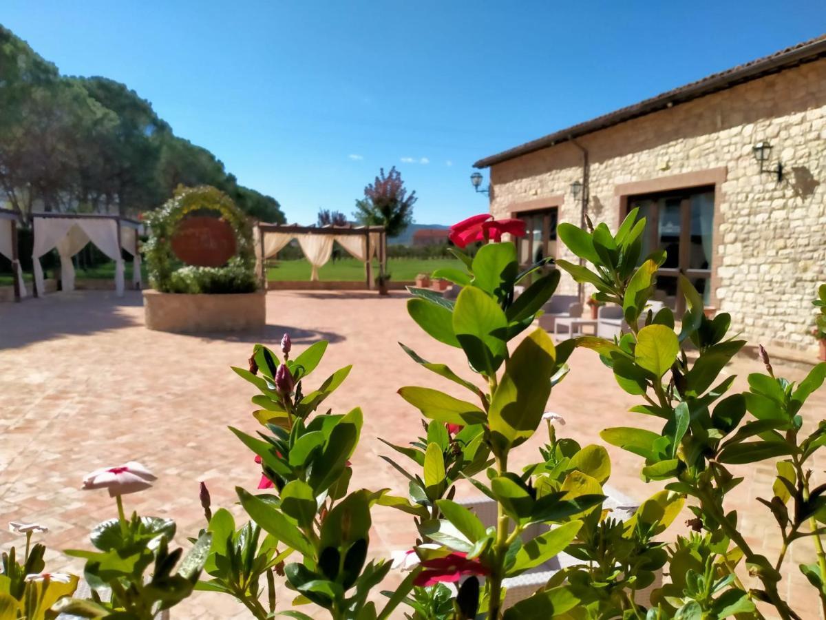 Il Pianaccio Villa Spoleto Luaran gambar